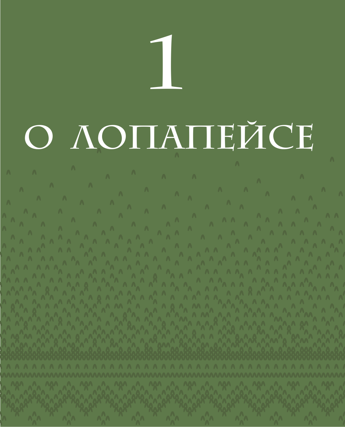 Лопапейса. Традиционные исландские свитеры. Практическое руководство + 60 авторских узоров - фото №9