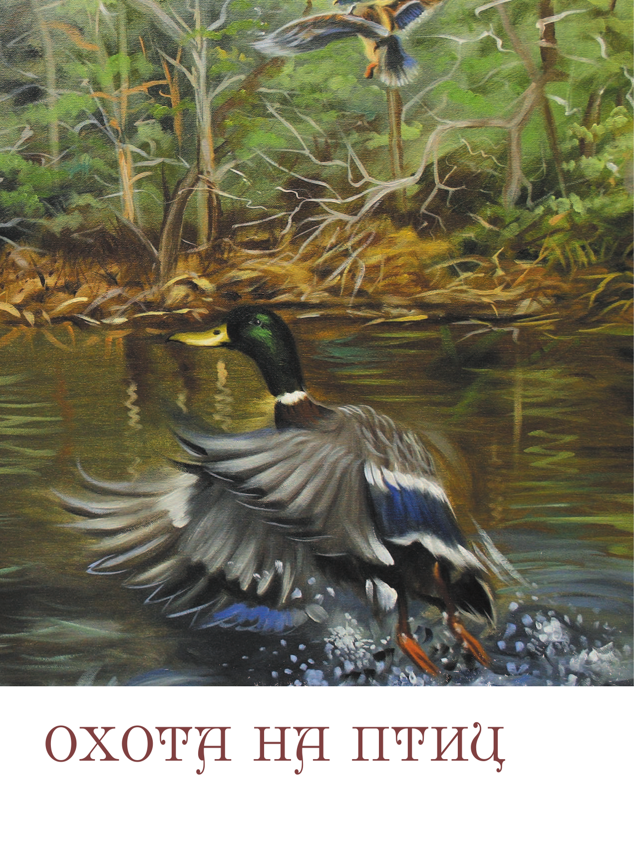 Русская рыбалка и охота (Сабанеев Леонид Павлович, Романов Николай I, Аксаков Сергей Тимофеевич, Савельев Анатолий Анатольевич, Толстой Николай, Зворыкин Николай, Черкасов Александр, Ширинский-Шихматов Андрей) - фото №7