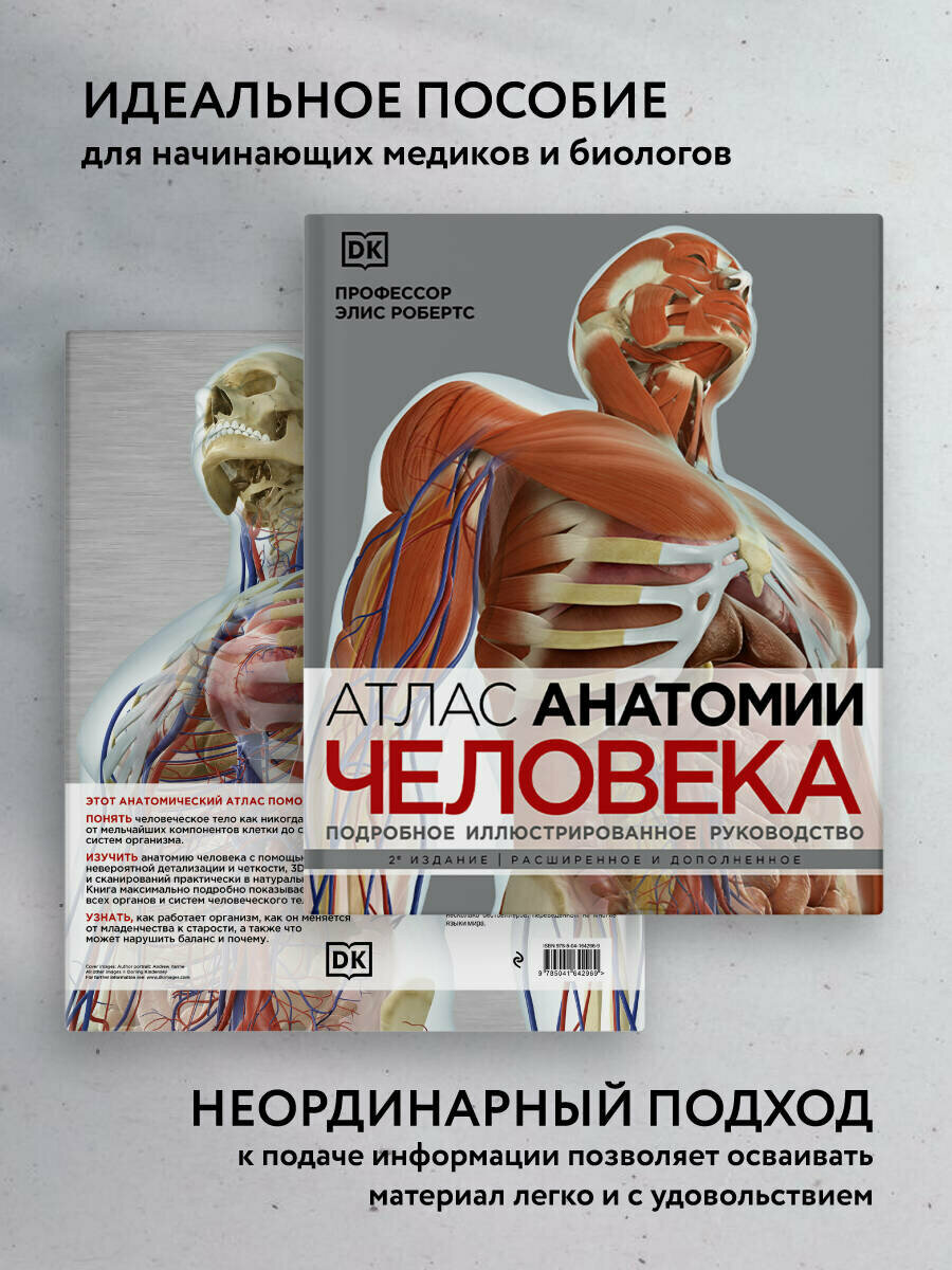 Атлас анатомии человека. Подробное иллюстрированное руководство - фото №3