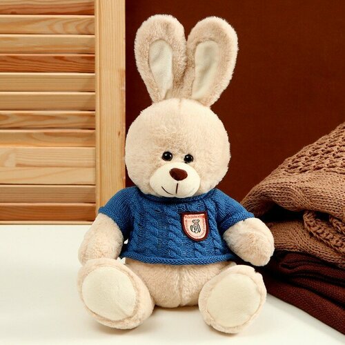 Мягкая игрушка «Заяц», в свитере, 25 см, цвет микс мягкая игрушка волк в свитере цвета микс нижегородская игрушка 1204300
