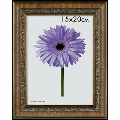 ООО Изометрика Рамка пласт. Daria 60*80см светлокорич 0058-60-3052