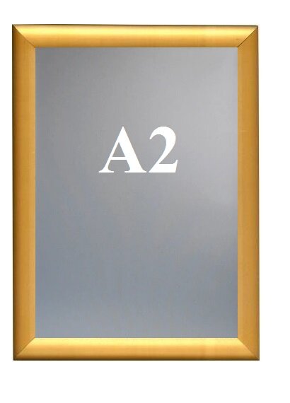 Рамка 42.0x59.4 (А2) Nielsen алюминий золото №62