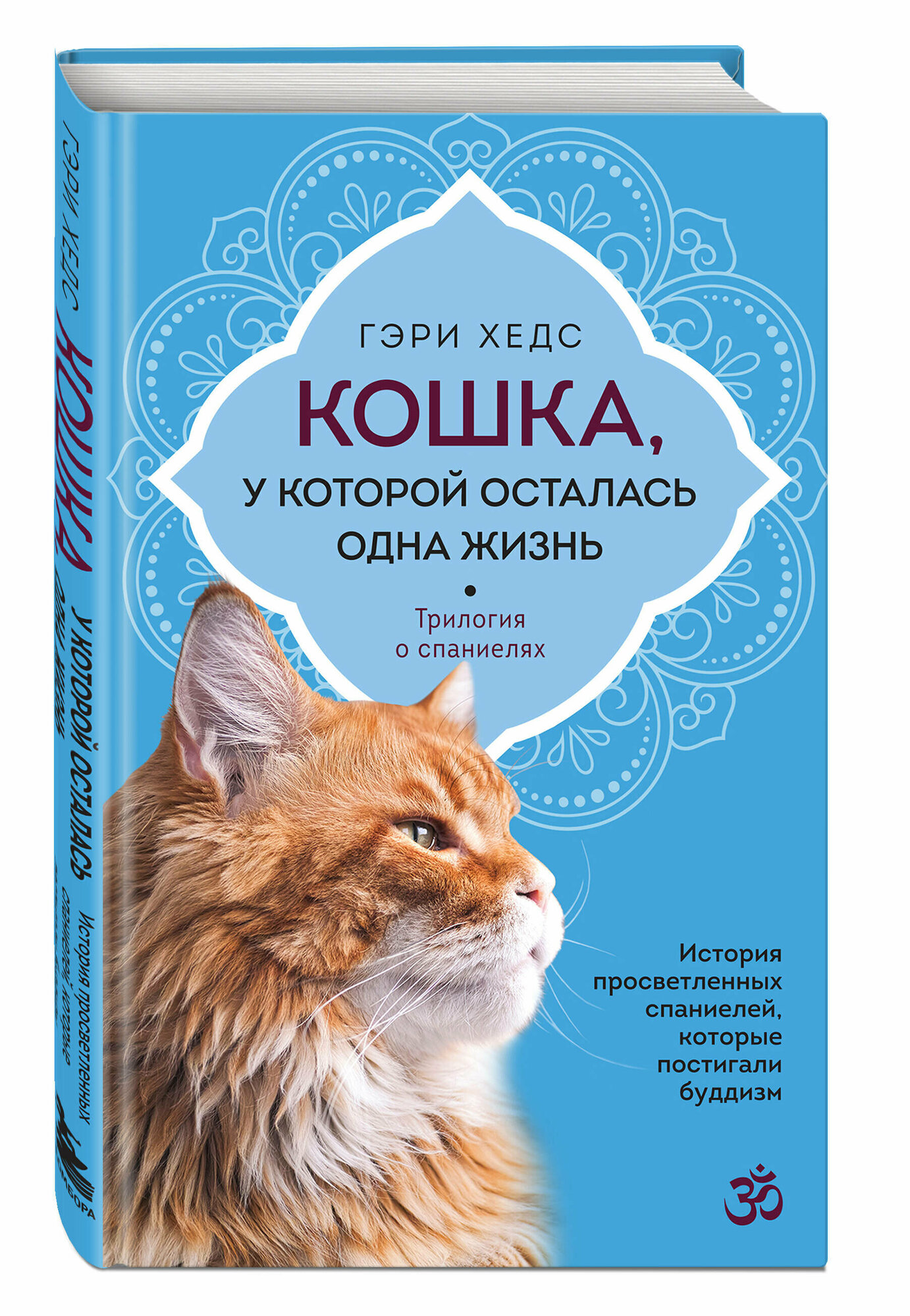 Кошка, у которой осталась одна жизнь - фото №1