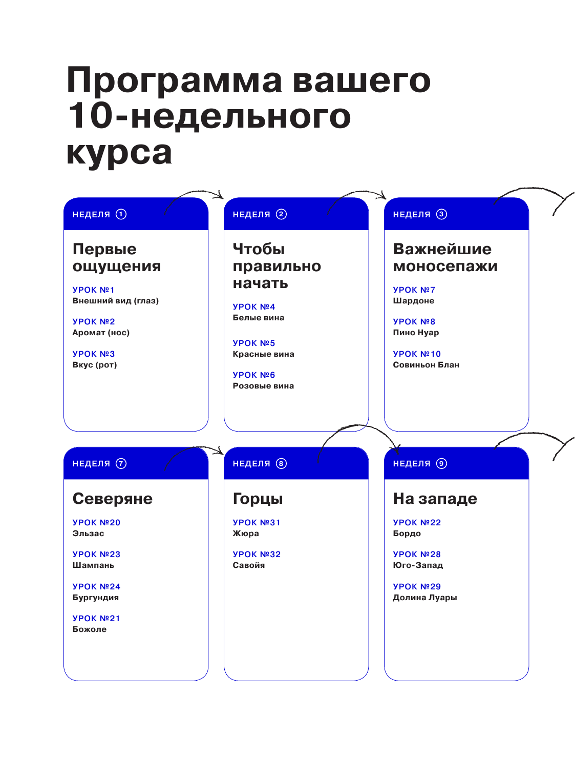 Как перестать бухать и начать дегустировать - фото №18