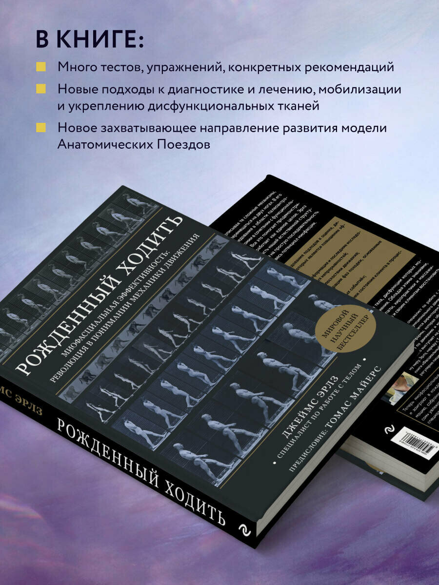 Рождённый ходить. Миофасциальная эффективность. Революция в понимании механики движения - фото №7