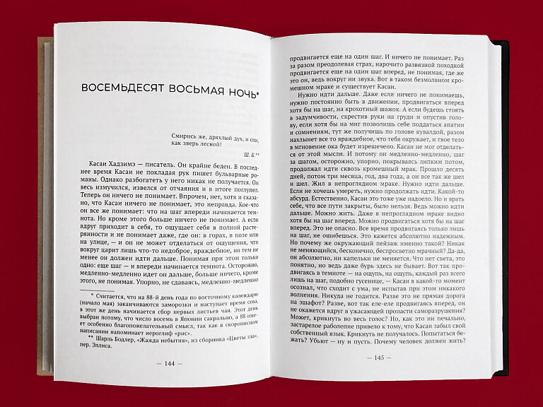 Восемьдесят восьмая ночь. Избранная проза - фото №4