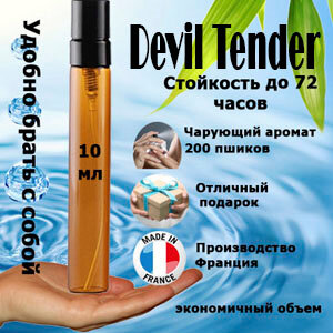 Масляные духи Devil Tender, женский аромат, 10 мл.