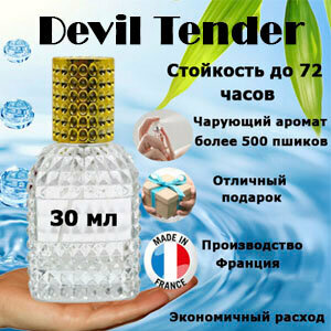 Масляные духи Devil Tender, женский аромат, 30 мл.