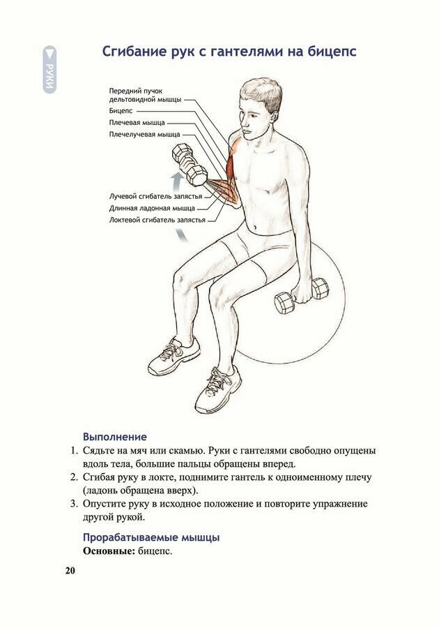 Анатомия велосипедиста (Совндаль Шеннон) - фото №8