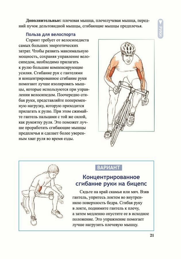 Анатомия велосипедиста (Совндаль Шеннон) - фото №9