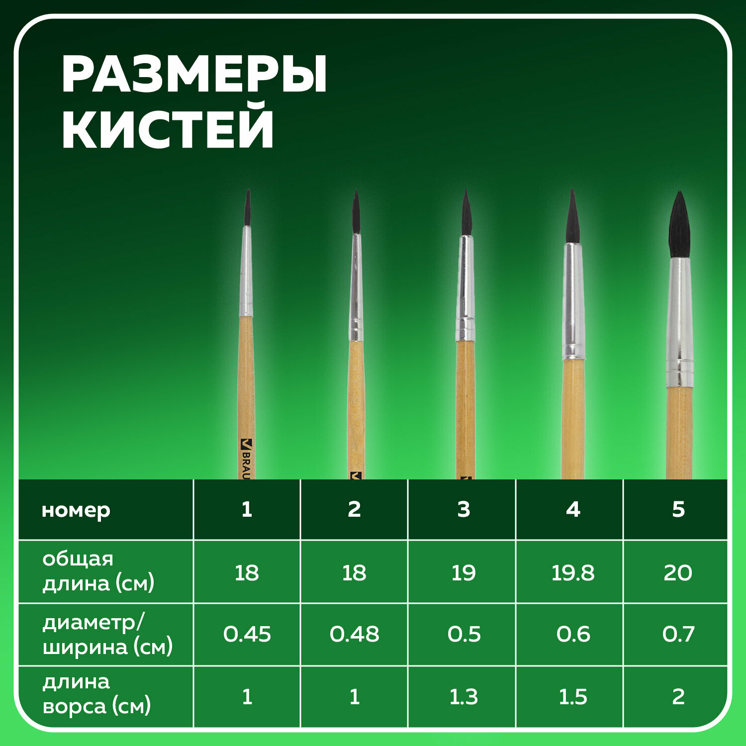 Набор кистей BRAUBERG белка, круглые, с короткой ручкой, №5, 5 шт., блистер, разноцветный - фото №15