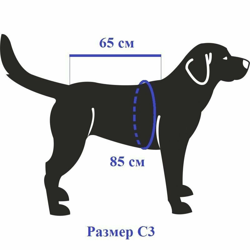 Комбинезон ForMyDogs для крупных собак, зимний, на синтепоне, девочка, C3, TDW0100/3-2023 F - фотография № 7