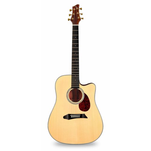 NG DM411SC NA акустическая гитара, цвет натуральный, чехол в комплекте