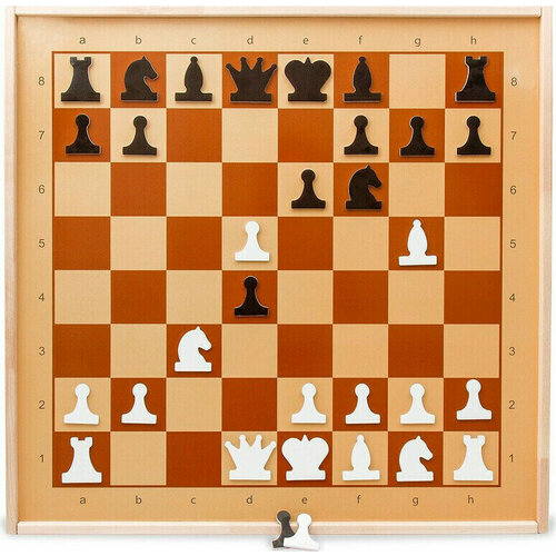 Настольная игра Настольная игра шахматы демонстрационные магнитные