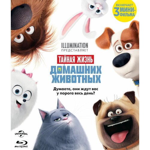 Тайная жизнь домашних животных (м/ф) (Blu-ray) blu ray диск м ф тайная жизнь домашних животных 2 упрощ изд