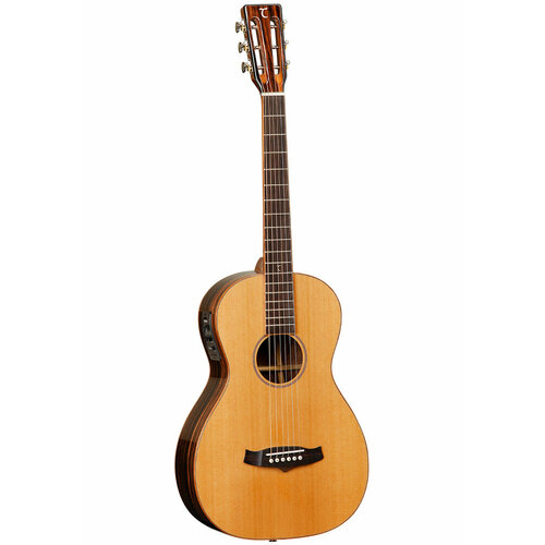 Электроакустическая гитара Tanglewood TWJP E(Электроакустические гитары)