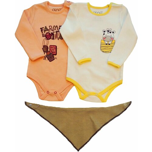 Боди, комплект из 2 шт., размер 68р/6-9мес, оранжевый, белый