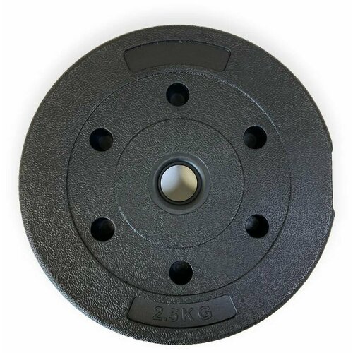 Диск пластиковый CPL-026-2.5, 2,5 к, 2 шт.