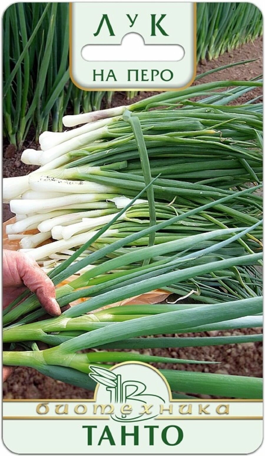 Лук батун Танто 025 г/ Биотехника