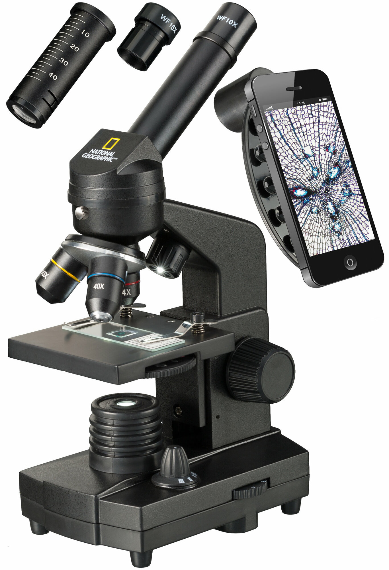 Микроскоп Bresser National Geographic 40x-1280x с держателем для смартфона" (без препаратов)