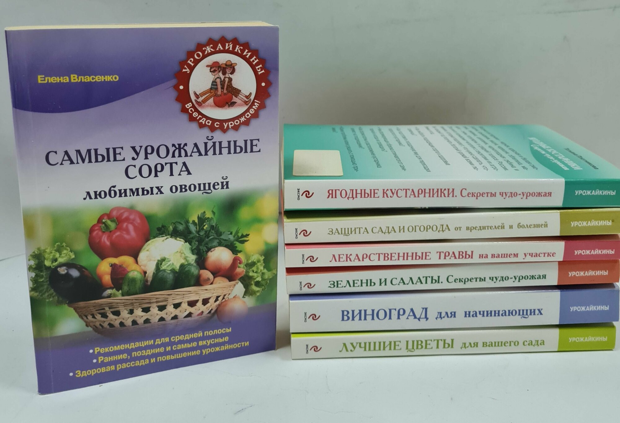 Лучшие цветы для вашего сада (Князева Дарья Викторовна (соавтор)) - фото №2