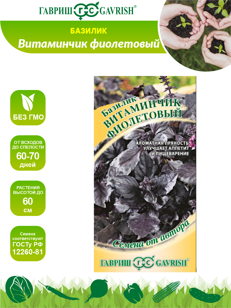 Семена Базилик Витаминчик фиолетовый семена от автора 0,3 гр.