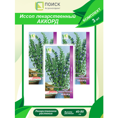 Комплект семян Иссоп лекарственный Аккорд х 3 шт. комплект семян лекарственный огород легочный х 3 шт