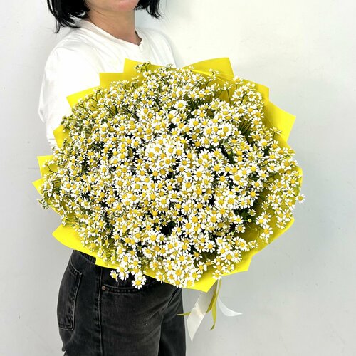 Букет живых цветов из ромашек 25 шт, Лэтуаль Flowers