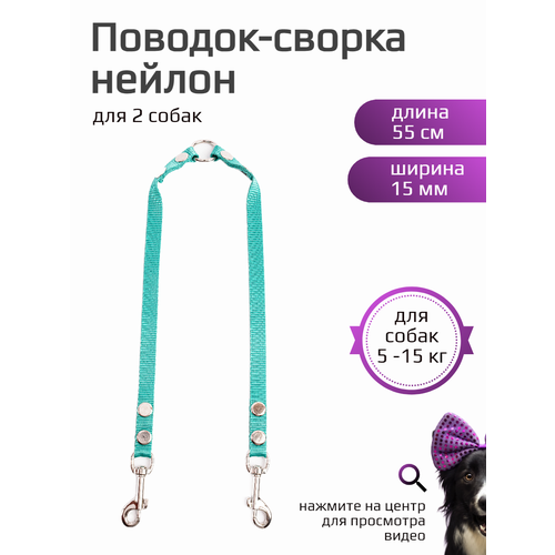 Сворка Хвостатыч для двух собак маленьких пород нейлон 55 х 15 мм (бирюзовый)