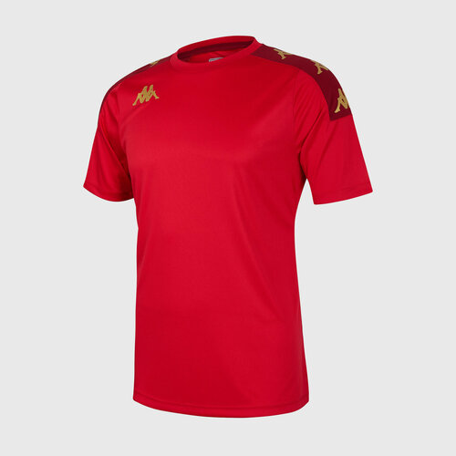 Беговая футболка Kappa, силуэт полуприлегающий, влагоотводящий материал, быстросохнущая, вентиляция, размер S, красный