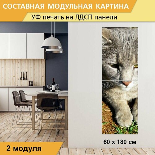 Модульная картина 