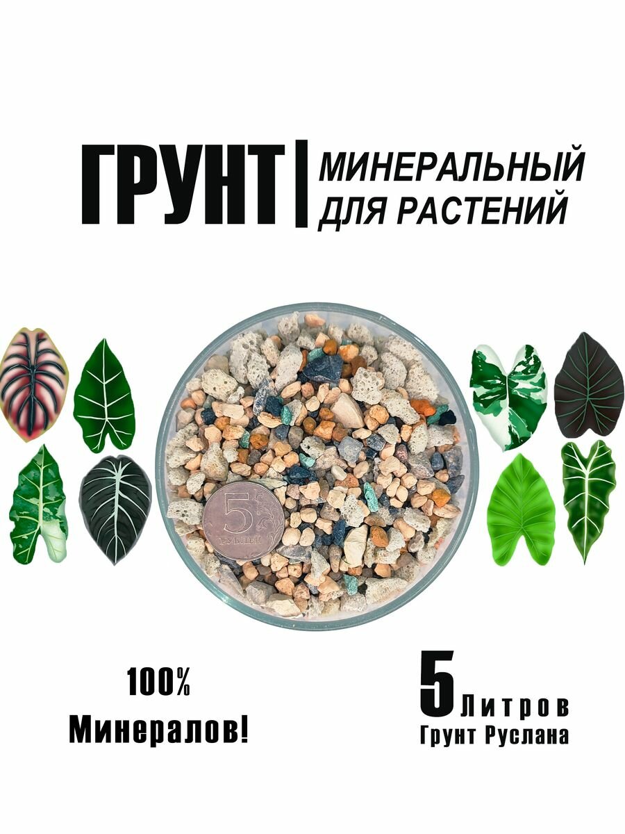 Инорганик, минеральный грунт для растений и цветов 5л, 3.8кг - фотография № 1