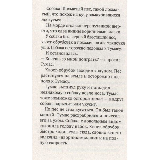 Тумас и Трассель (Кнутсон Йоста) - фото №11