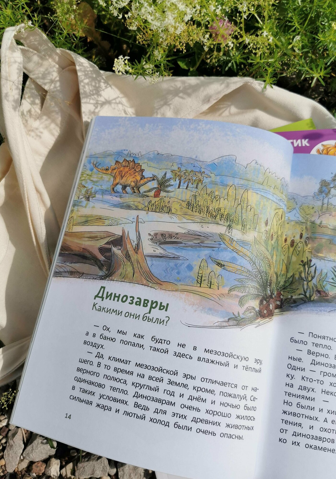 Динозавры и другие пресмыкающиеся. Детская энциклопедия. Paperback - фото №6