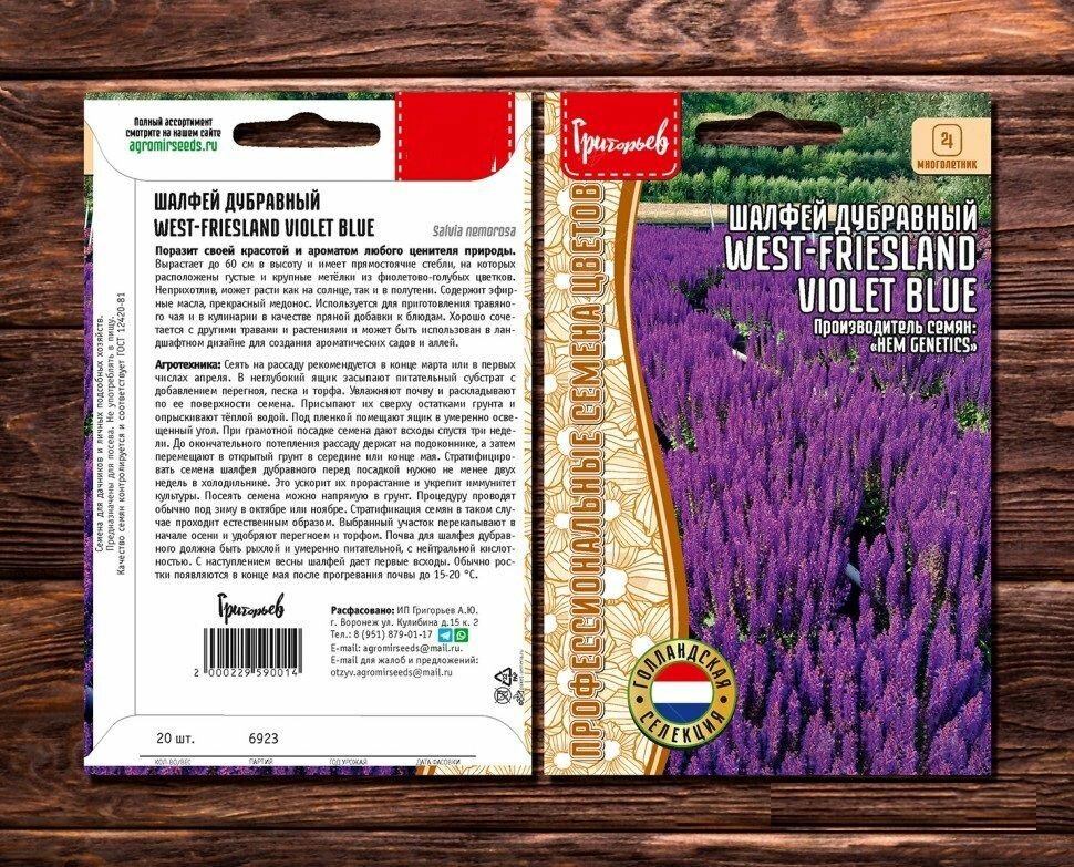 Шалфей дубравный West-Friesland Violet Blue 20 семян / Профессиональные семена цветов