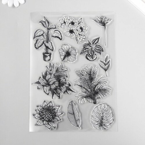 Штамп для творчества силикон Домашние цветы 15х21х0,3 см 9353982