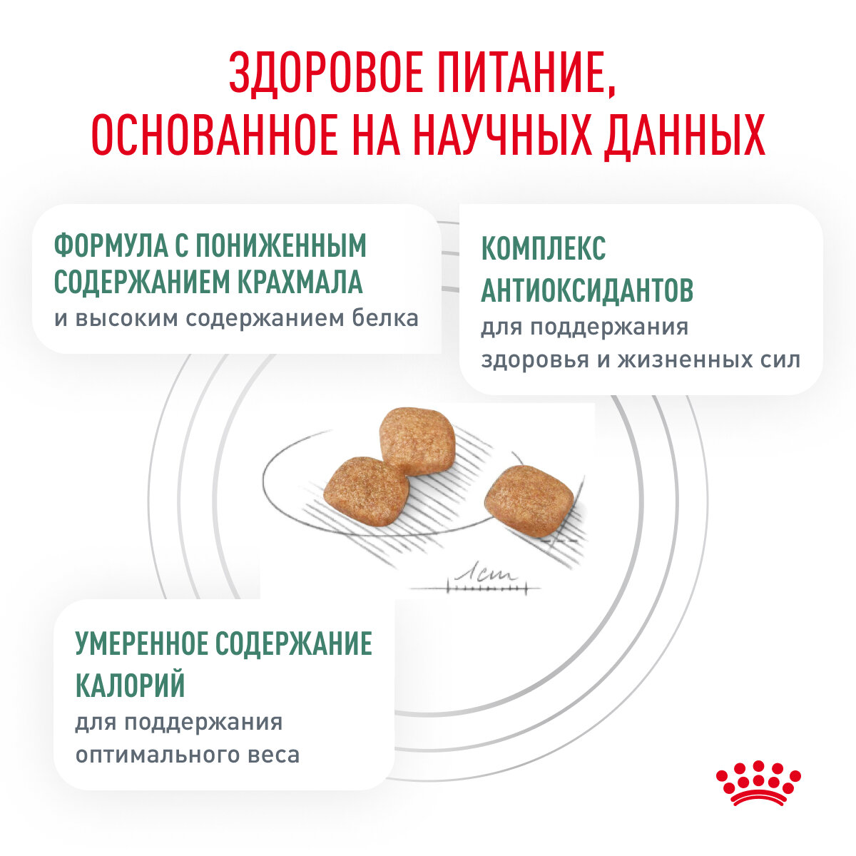 Royal Canin Diabetic (Диабетик) Корм для взрослых кошек при сахарном диабете, сухой диетический, 1,5 кг