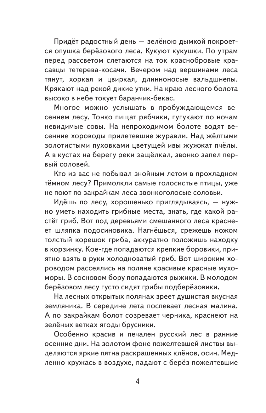 Русский лес (Соколов-Микитов Иван Сергеевич) - фото №7