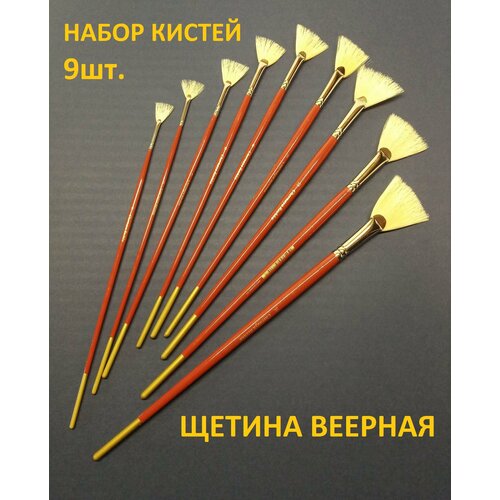 Набор кистей щетина веерная 9 шт 740₽