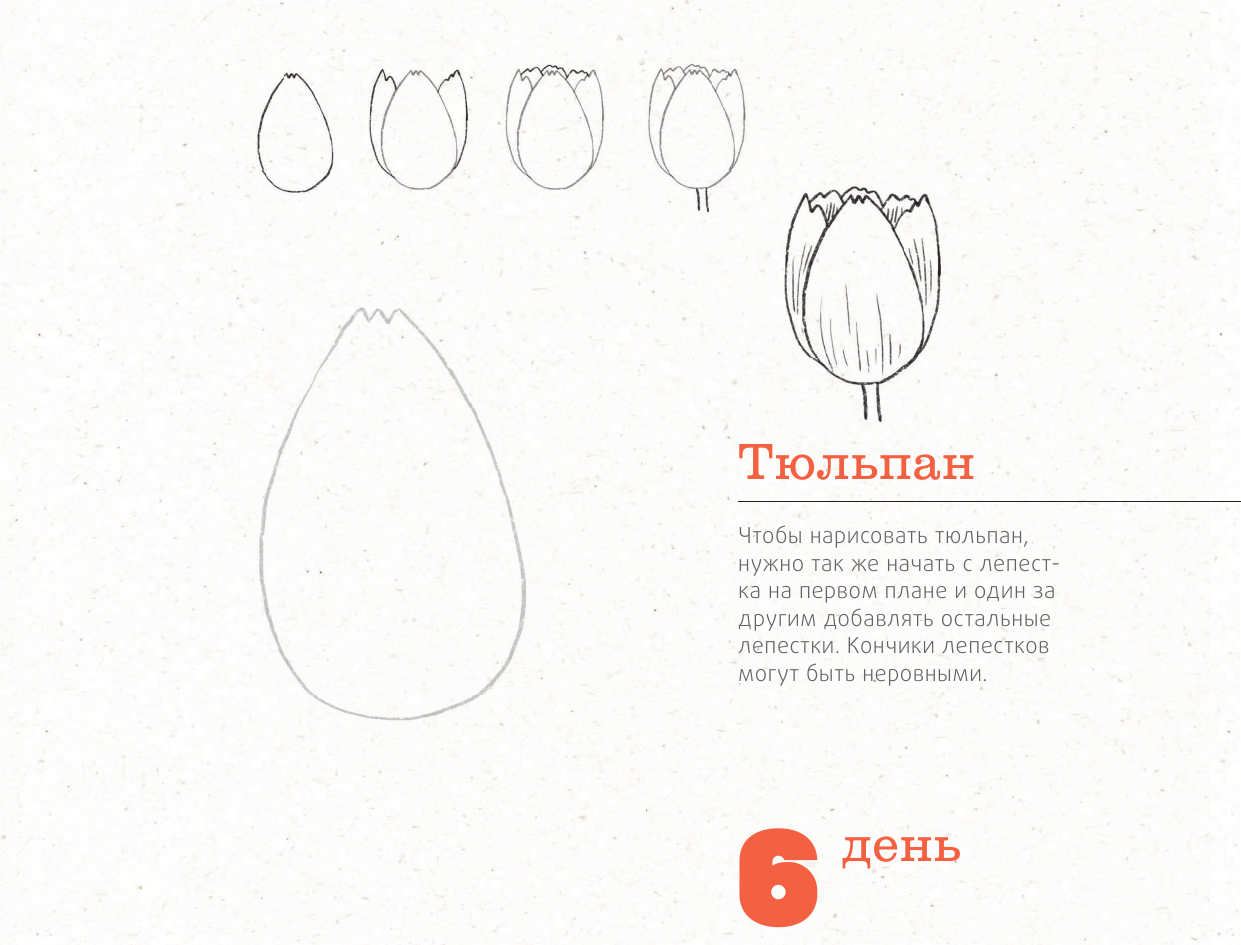 365 дней рисования. Пошаговые техники для начинающих художников - фото №9