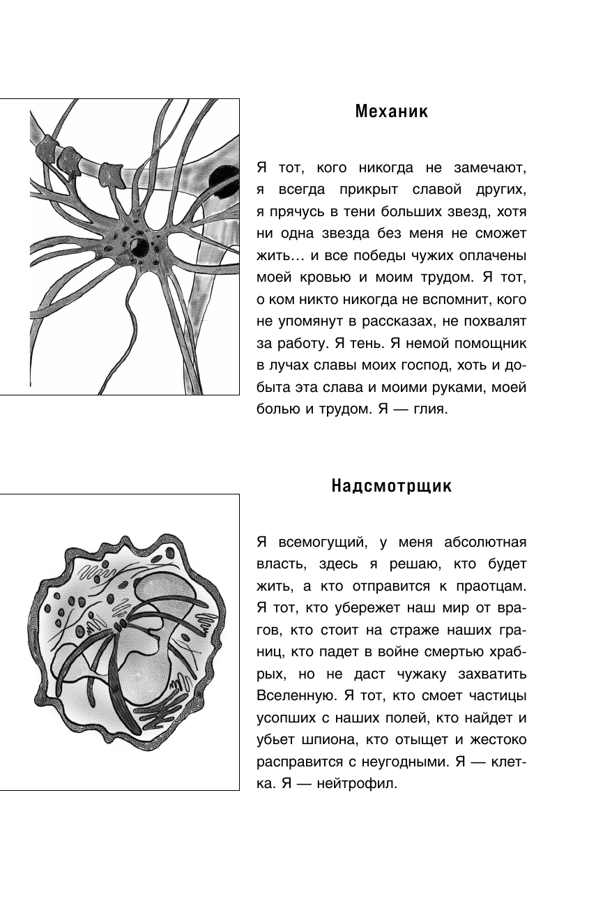 Внутри сосуда. История о скрытых возможностях мозга и чудесах нейропластичности - фото №12