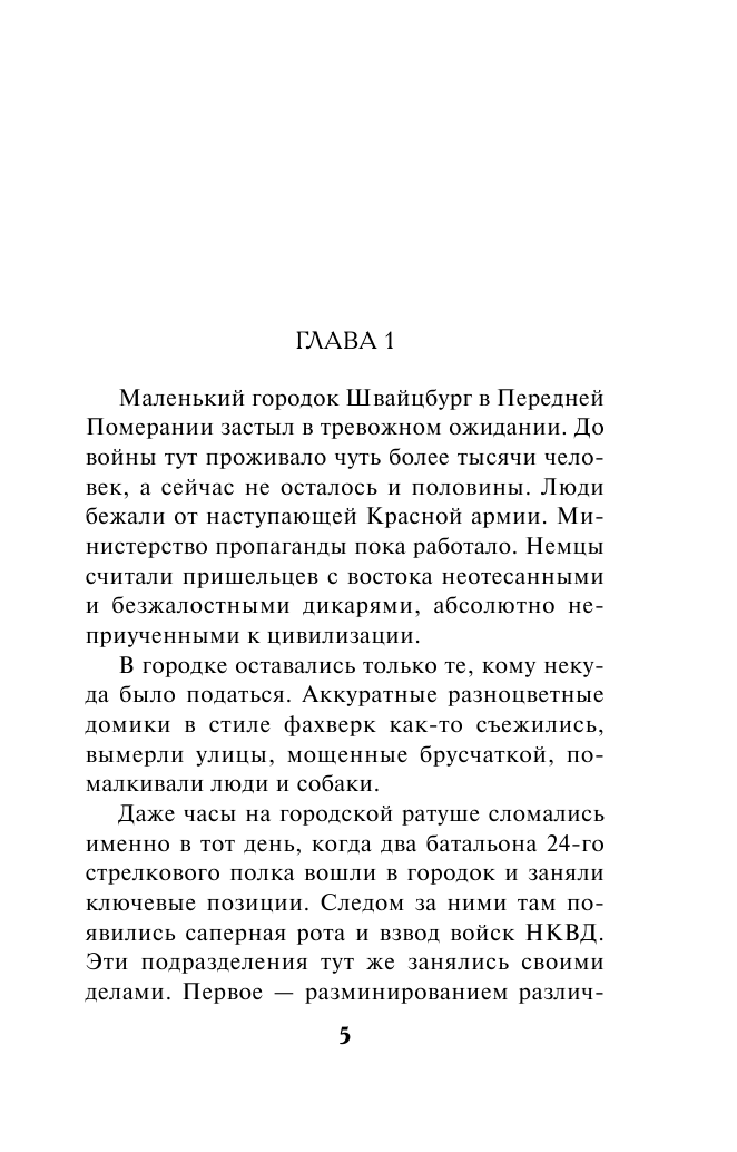 Последняя тайна рейха (Тамоников Александр Александрович) - фото №8