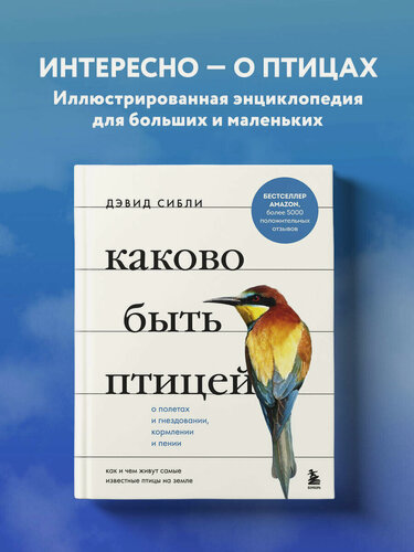 Изображение товара Сибли Д. Каково быть птицей: о полетах и гнездовании, кормлении и пении. Как и чем живут самые известные птицы на земле