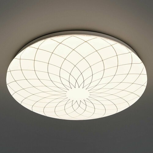 Светильник настенно-потолочный светодиодный Lumin Arte Fler C19LLS36W, 18 м , нейтральный белый свет, цвет белый
