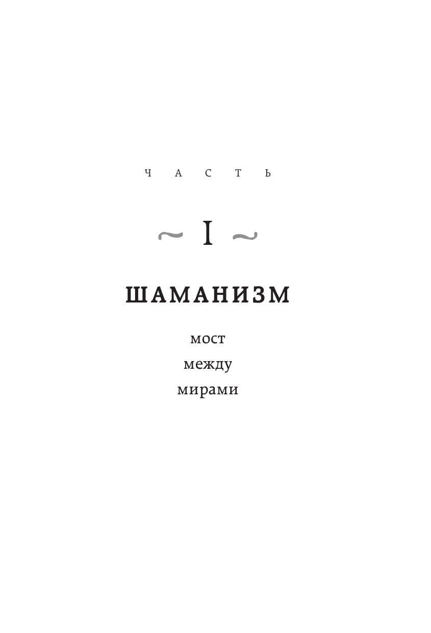 Шаманизм. Мост между мирами (Рониньо К.) - фото №7