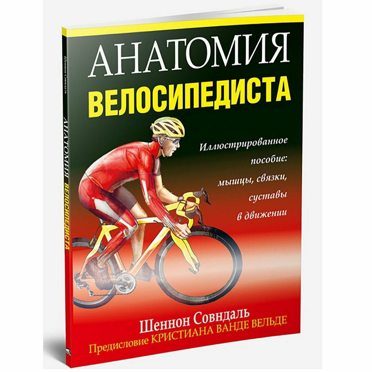 Анатомия велосипедиста (Совндаль Шеннон) - фото №2