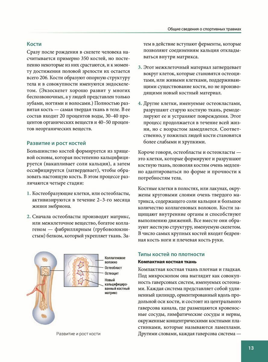 Анатомия спортивных травм (Уолкер Брэд, Белошеев О.Г. (переводчик)) - фото №16