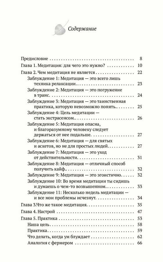 Осознанность простыми словами (Бханте Гунаратана) - фото №4