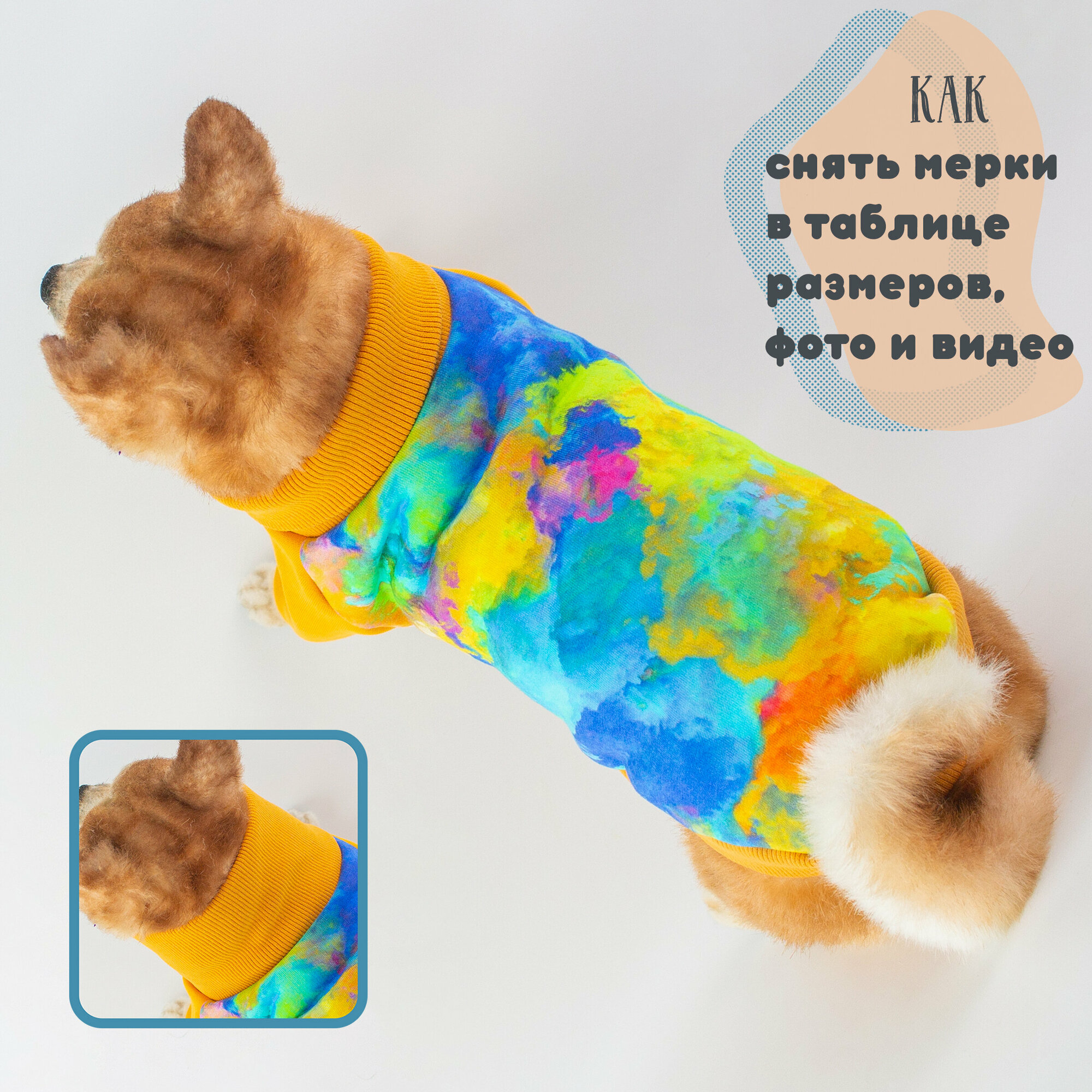Тёплая кофта для собак Элегантный Кот, Мятные Сладости , размер XS - фотография № 5