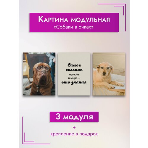 Картина модульная ArtZakaz Мотивация, Собаки в очках 90х40 см 3 модуля